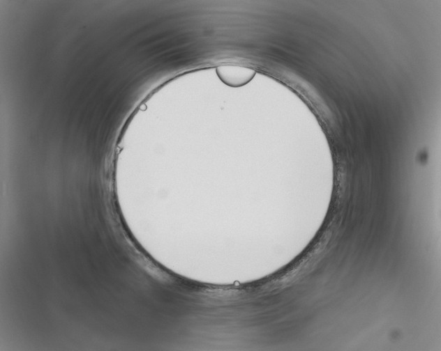 X0000116341236201001131038