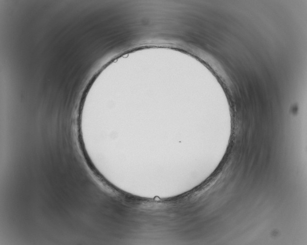 X0000116341237201001131038