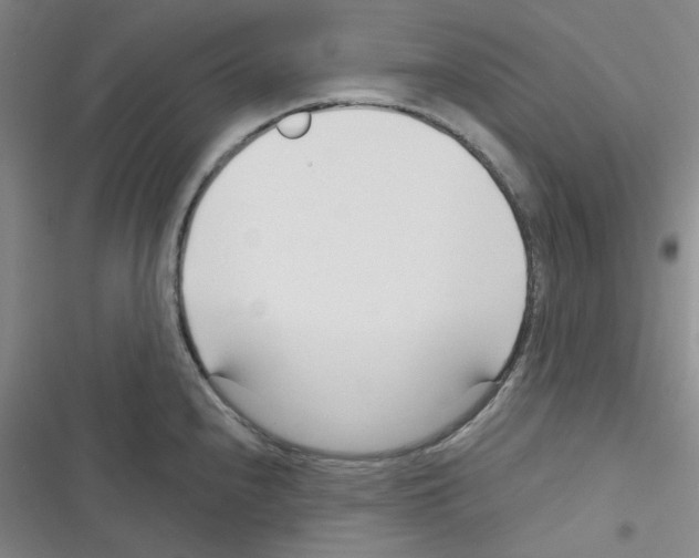 X0000116341240201001131038