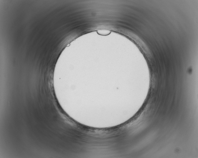 X0000116341241201001131038