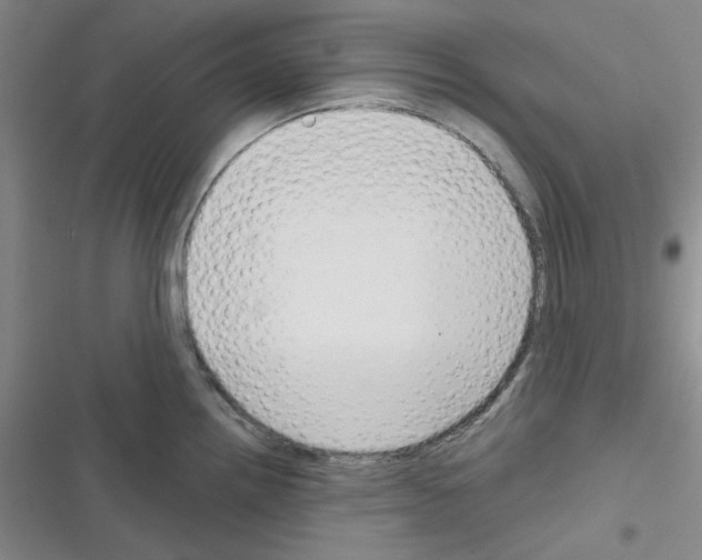 X0000116341242201001131038