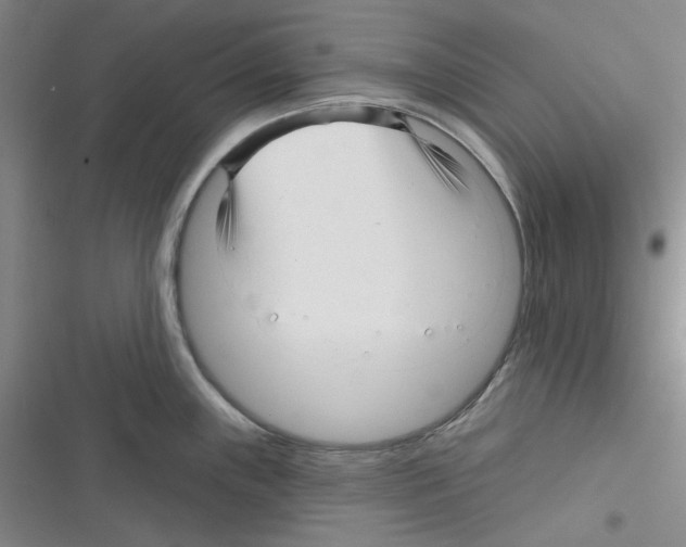 X0000116341243201001131038