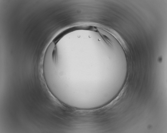 X0000116341244201001131038