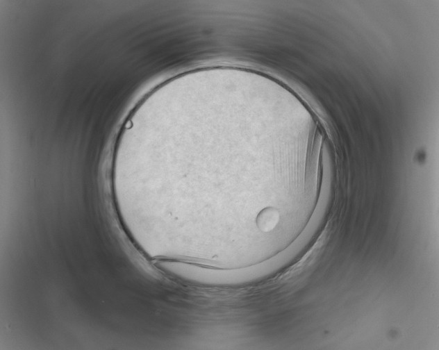 X0000116341246201001131039