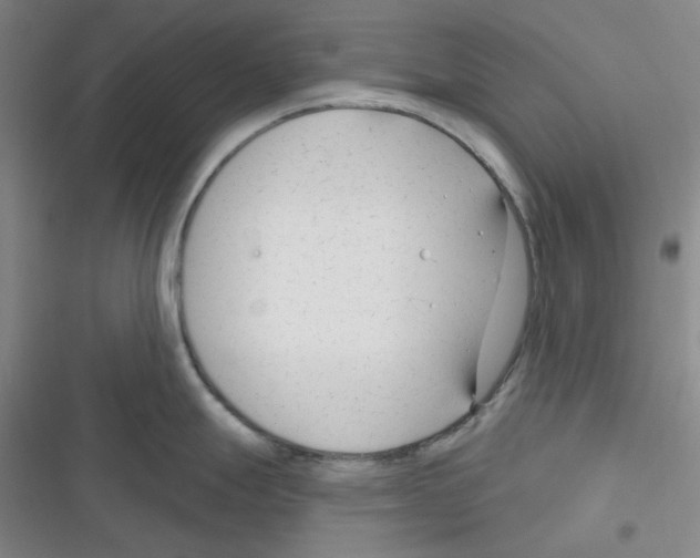 X0000116341247201001131039