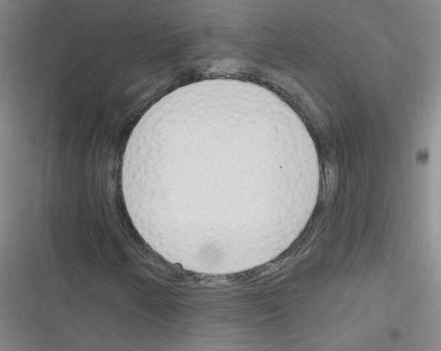 X0000116341250201001131038