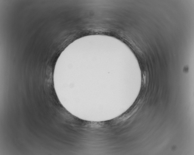 X0000116341251201001131038