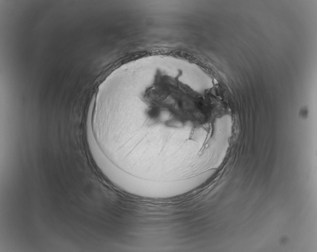 X0000116341252201001131038