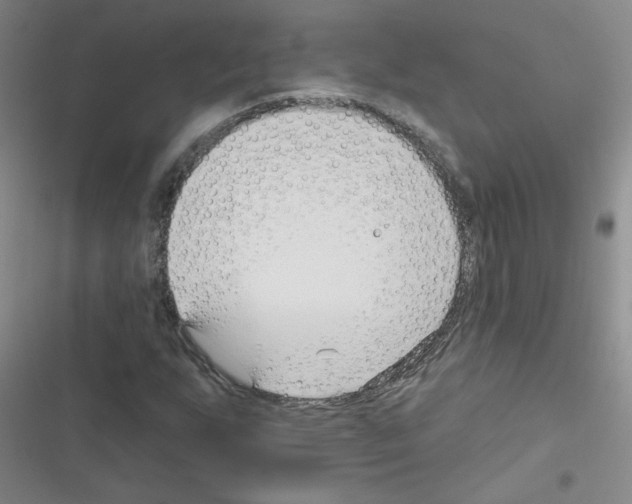 X0000116341255201001131038