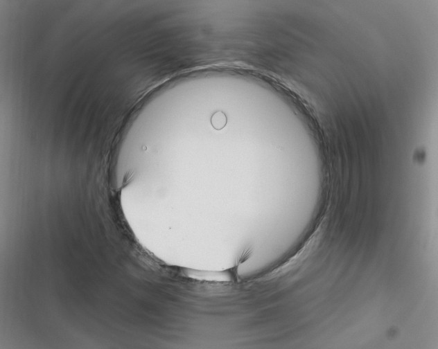 X0000116341257201001131038