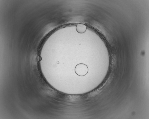 X0000116341258201001131038