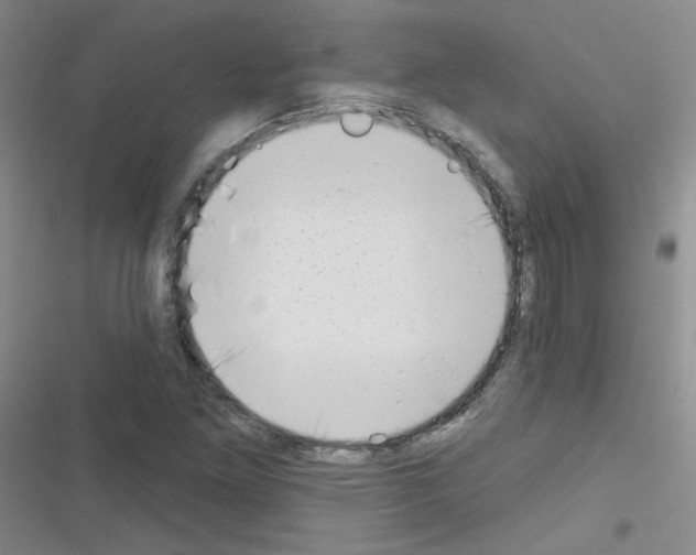 X0000116341261201001131038