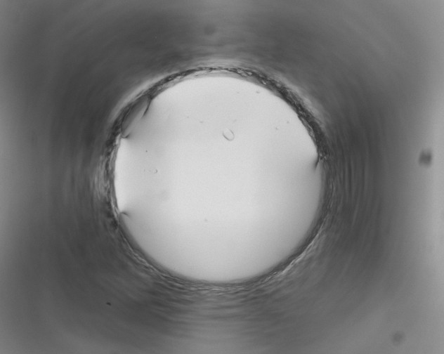 X0000116341262201001131038