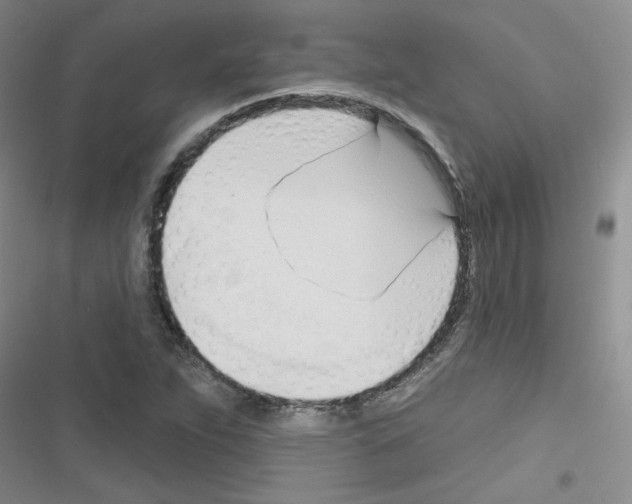 X0000116341263201001131038