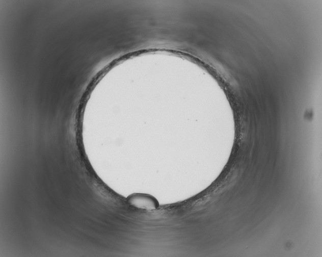 X0000116341264201001131038