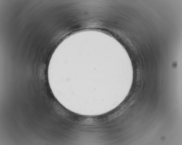 X0000116341265201001131038