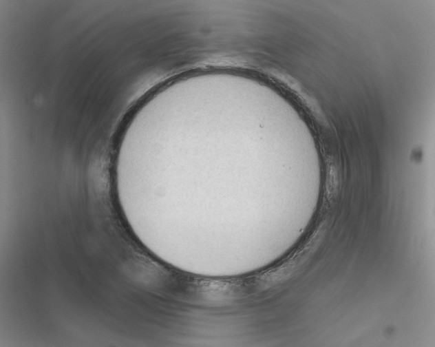 X0000116341266201001131038