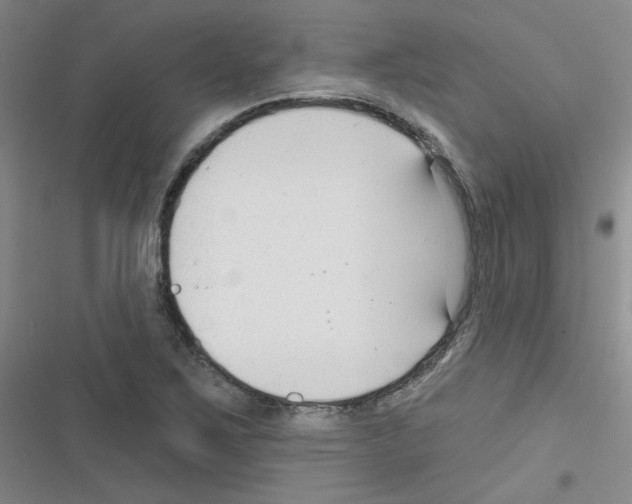 X0000116341267201001131038