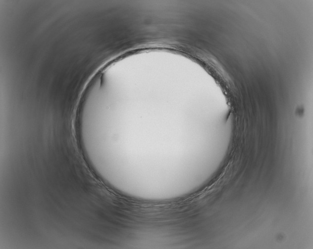 X0000116341268201001131038