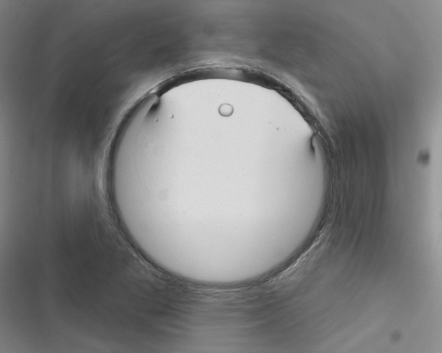 X0000116341269201001131038