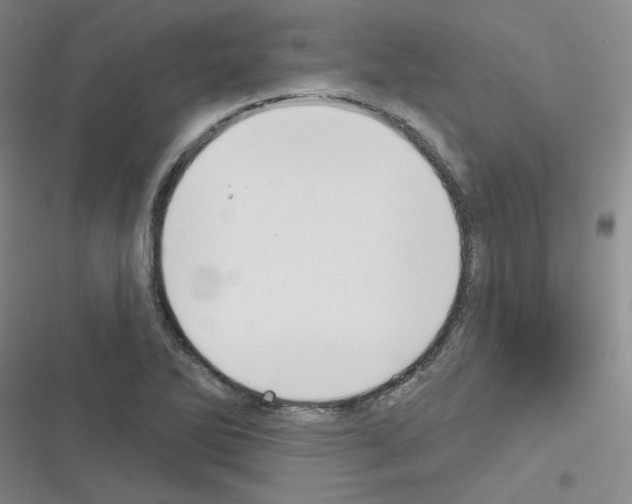 X0000116341270201001131038