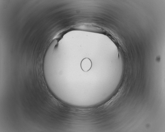 X0000116341273201001131038