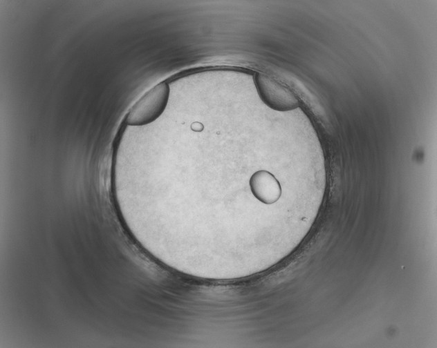 X0000116341276201001131038