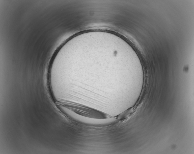 X0000116341277201001131038