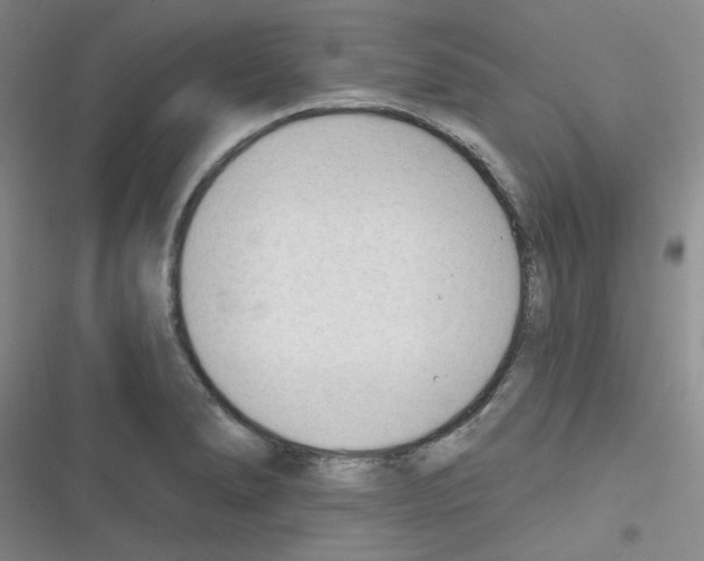 X0000116341278201001131037