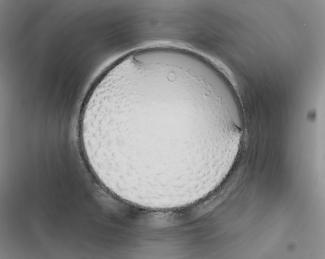 X0000116341279201001131037