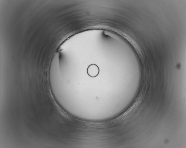 X0000116341281201001131037