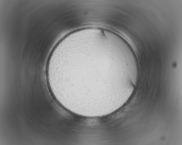 X0000116341283201001131037