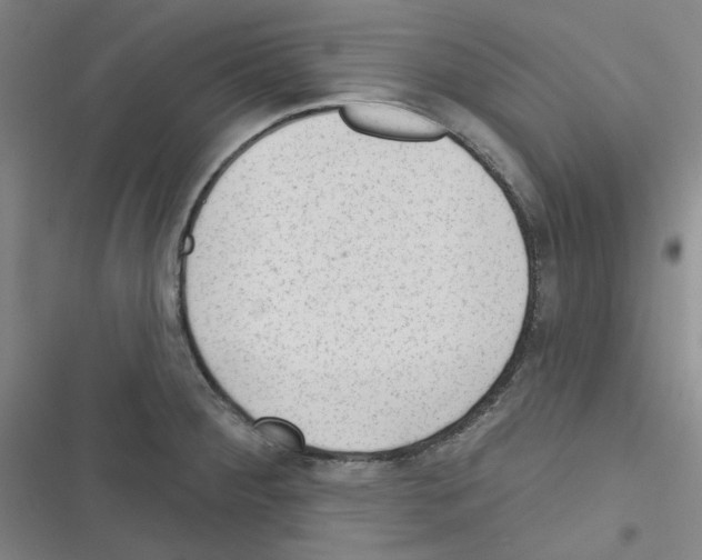 X0000116341284201001131037