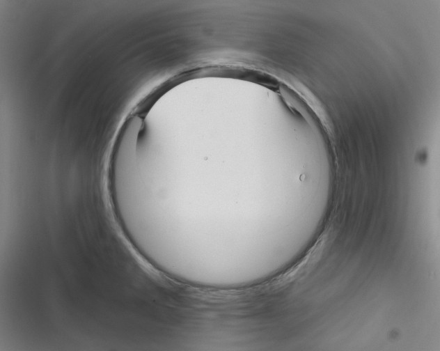 X0000116341285201001131037