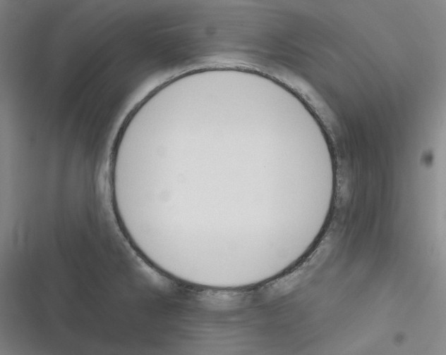 X0000116341286201001131037