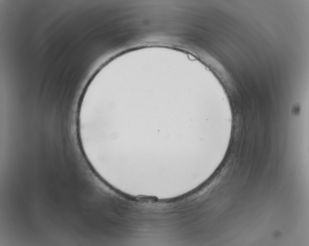 X0000116341288201001131037