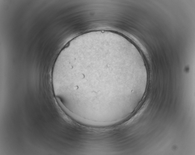 X0000116341289201001131037