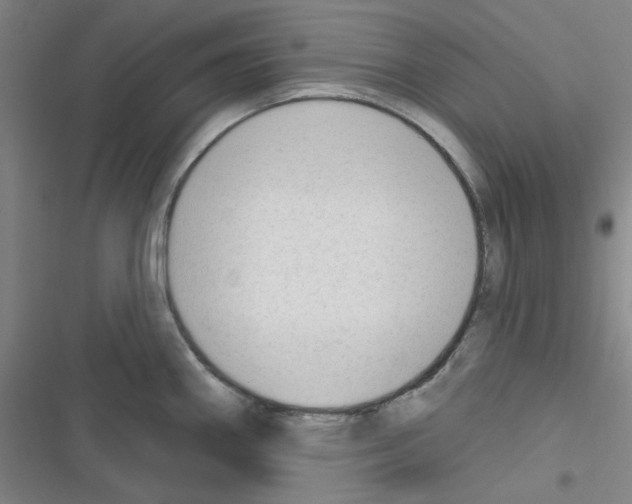 X0000116341290201001131037