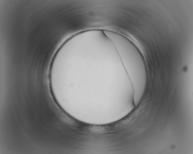 X0000116341291201001131037