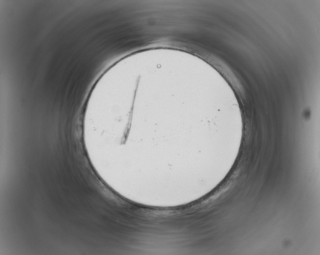 X0000116341292201001131037