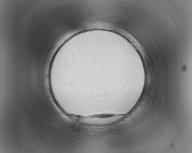 X0000116341293201001131037