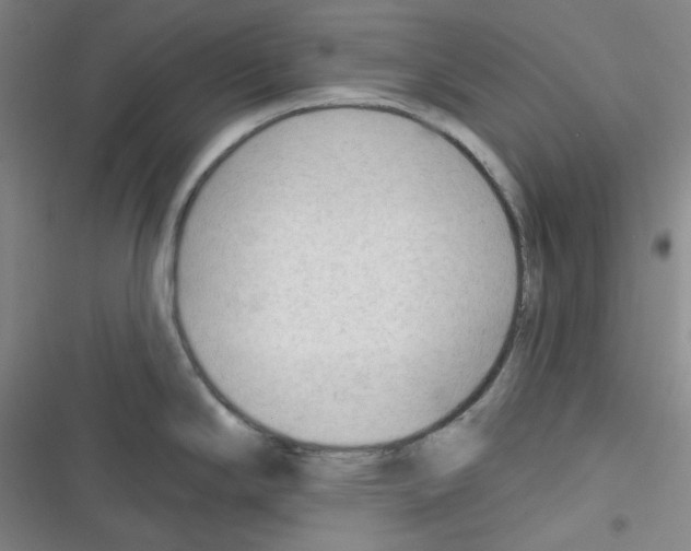 X0000116341294201001131037