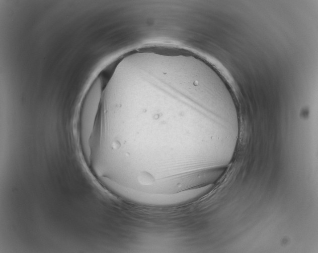 X0000116341295201001131037