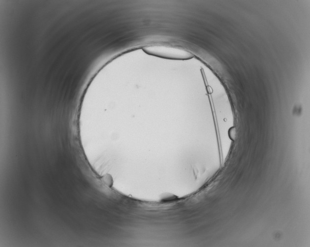 X0000116341296201001131037