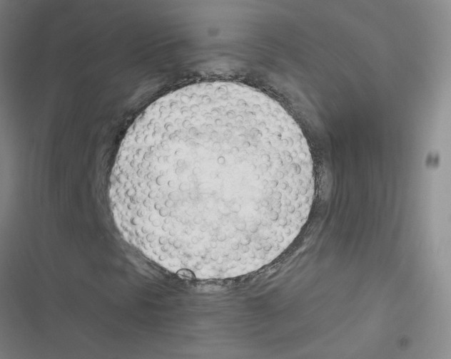 X0000116341297201001131037