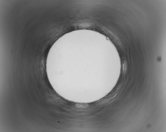 X0000116341299201001131037