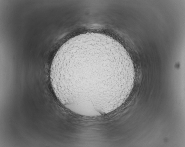 X0000116341301201001131037