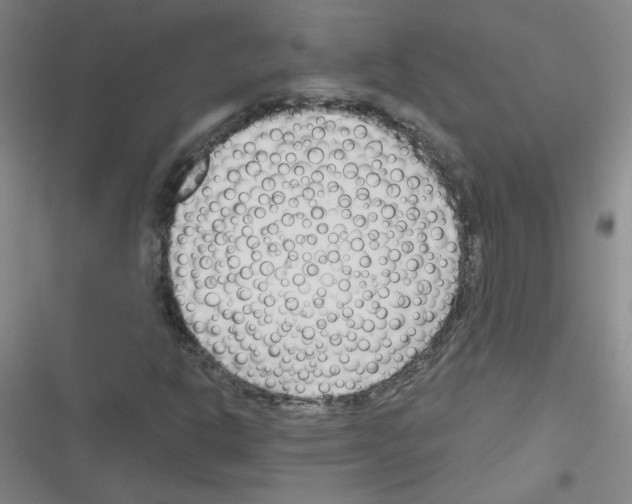 X0000116341302201001131037