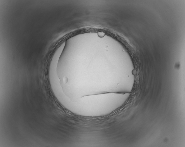 X0000116341303201001131037