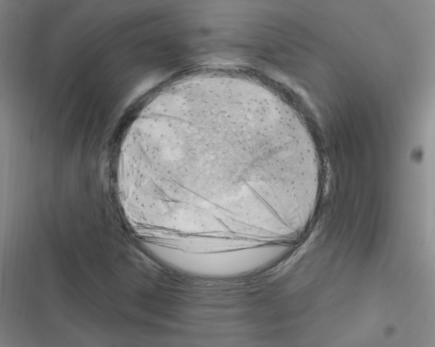 X0000116341306201001131037